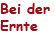 Bei der Ernte