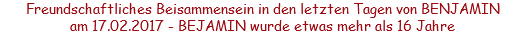 Freundschaftliches Beisammensein in den letzten Tagen von BENJAMIN am 17.02.2017 - BEJAMIN wurde etwas mehr als 16 Jahre