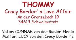 THOMMY Cracy Border`s Love Affair An der Grenzebach 19 34613 Schwalmstadt Vater: CONNAR von der Boeler-Heide Mutter: LUCY von den Cracy Border`s