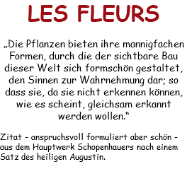 LES FLEURS „Die Pflanzen bieten ihre mannigfachen Formen, durch die der sichtbare Bau dieser Welt sich formschön gestaltet, den Sinnen zur Wahrnehmung dar; so dass sie, da sie nicht erkennen können, wie es scheint, gleichsam erkannt werden wollen.“ Zitat - anspruchsvoll formuliert aber schön - aus dem Hauptwerk Schopenhauers nach einem Satz des heiligen Augustin.